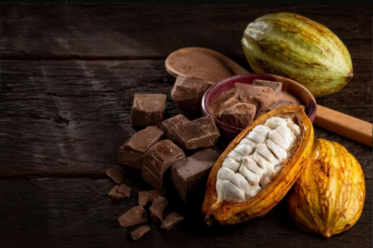 Chocolats & Macarons